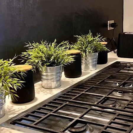 Apartment Lusso A Con Palestra Florence